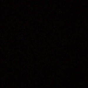 Meet your Posher, Francisco